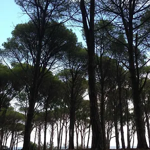 Cavalli Di S'arcaite Séjour à la ferme Santa Lucia (Sardinia)